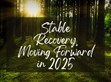 穩健復蘇，2025向前行                                                                                                                                          